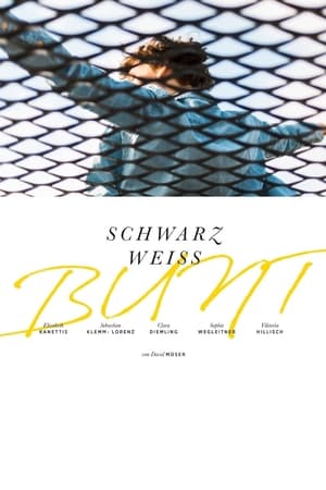Poster Schwarz Weiss Bunt 2020