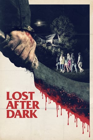 Poster Lost After Dark 2014