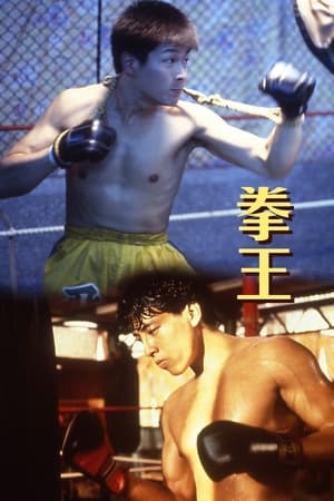Poster 拳王 1991