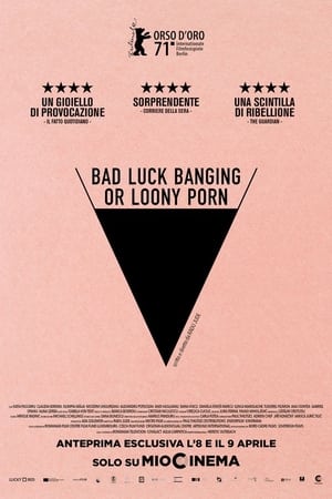 Poster Sesso sfortunato o follie porno 2021