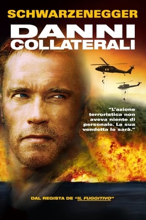 Poster Danni collaterali 2002