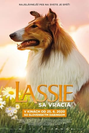 Image Lassie sa vracia