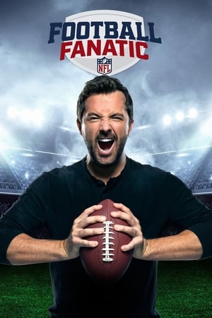 Poster NFL Football Fanatic 2018