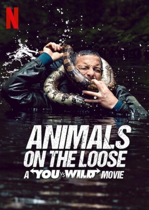 Image Animals on the Loose: A You vs. Wild Interactive Movie