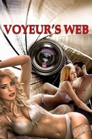 Poster Voyeur's Web 2010