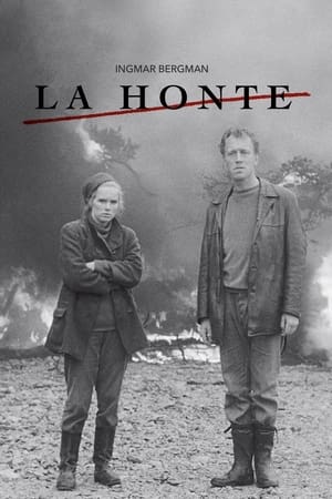 Poster La Honte 1968