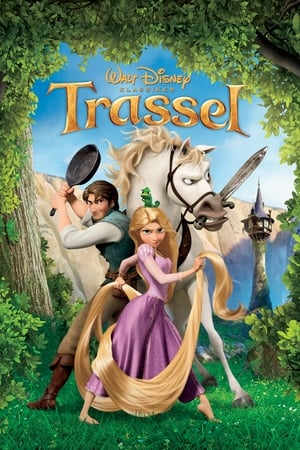 Poster Trassel 2010
