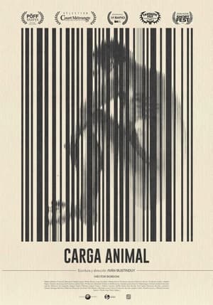 Poster Animal Transport 2023