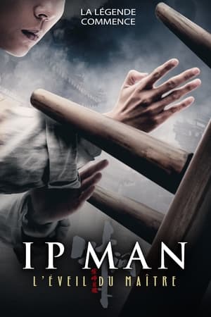 Poster Ip Man : L'Éveil du Maître 2021