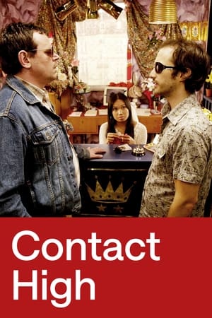 Poster Contact High 2009