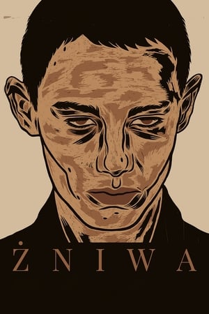 Image Żniwa