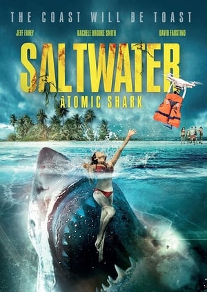 Poster Saltwater 2016
