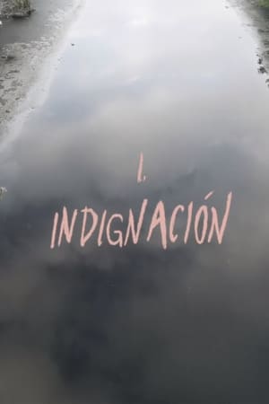 Poster Indignación 
