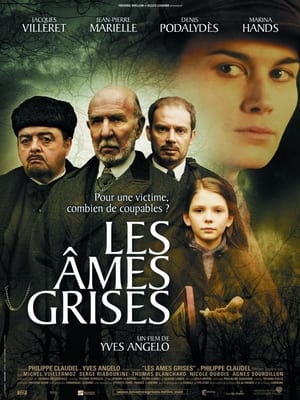 Poster Les Âmes grises 2005