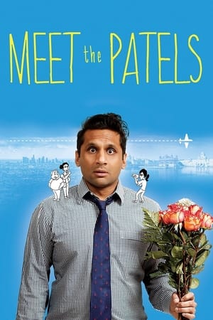 Poster Meet the Patels 2014