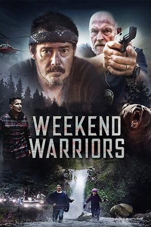 Poster Weekend Warriors 2021