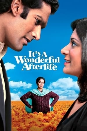 Poster It's a Wonderful Afterlife 2010