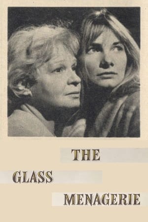 Image The Glass Menagerie
