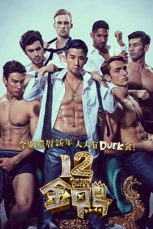 Poster 12金鴨 2015