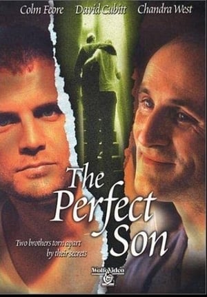 Poster The Perfect Son 2000