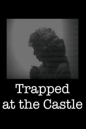 Image Trapped at the Castle