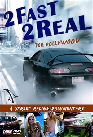 Poster 2 Fast 2 Real for Hollywood 2002