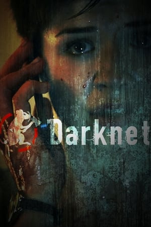 Poster Darknet 2013