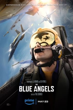 Image The Blue Angels