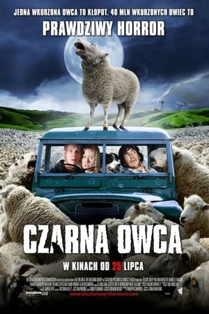 Poster Czarna owca 2007