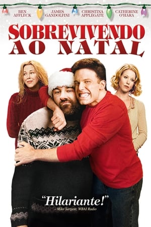 Poster Surviving Christmas 2004