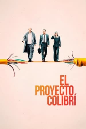 Poster El proyecto colibrí 2019