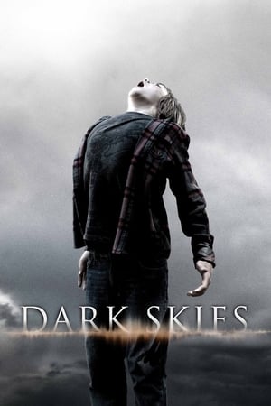 Poster Dark Skies 2013
