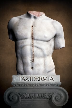 Poster Taxidermia 2006