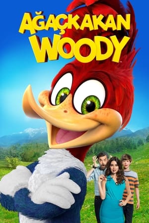 Poster Ağaçkakan Woody 2017