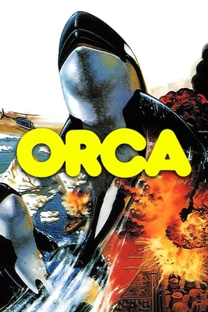 Poster Orca 1977