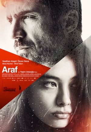 Poster Araf 2012