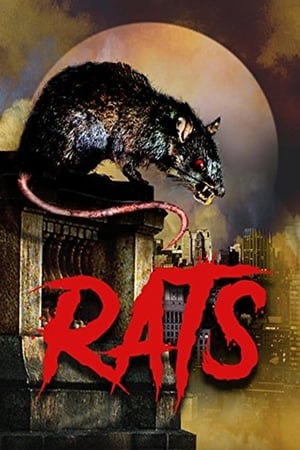 Poster Rats 2003