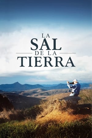 Poster La sal de la tierra 2014
