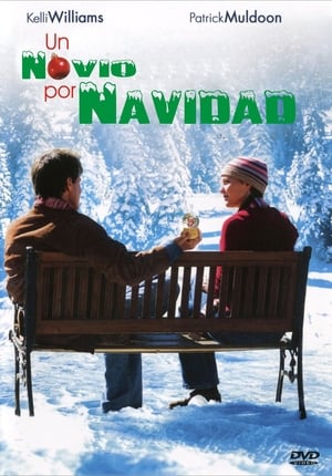 Poster Un novio por Navidad 2004
