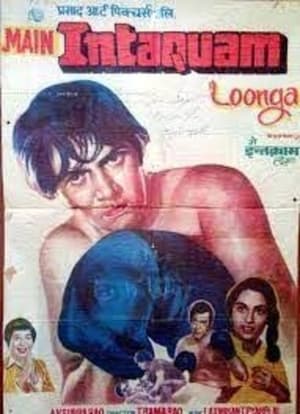 Poster Main Inteqam Loonga 1982