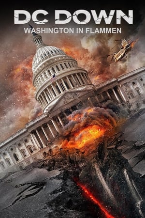 Image DC Down - Washington in Flammen
