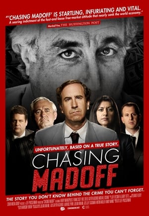 Poster Chasing Madoff 2010