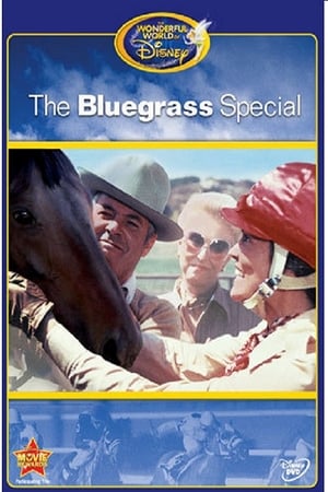 Poster The Bluegrass Special 1977