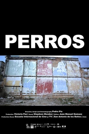 Poster Perros 2012