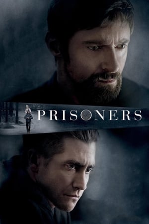 Poster Prizonierii 2013