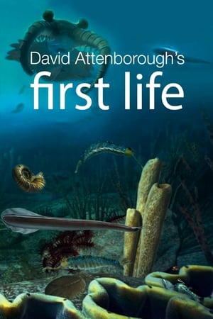 Image First Life – Alla scoperta delle origini della vita sulla Terra