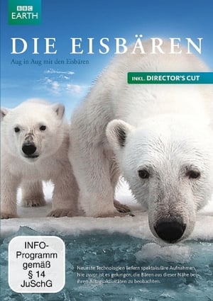Poster Gli orsi polari - Una spia sul ghiaccio 2011