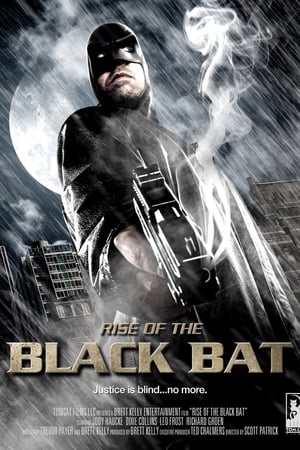 Poster Rise of the Black Bat 2012