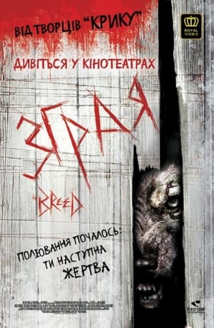 Poster Зграя 2006