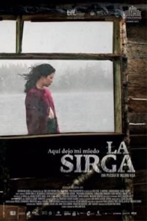 Poster La Sirga 2012